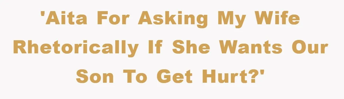 'AITA for asking my wife rhetorically if she wants our son to get hurt?'