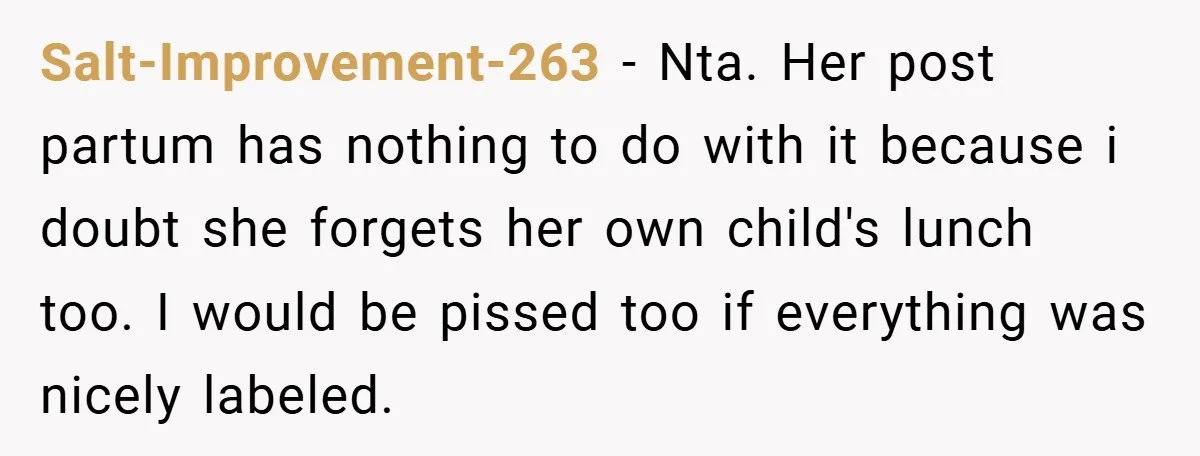 Salt-Improvement-263 − Nta. Her post partum has nothing to do with it because i doubt she forgets her own child's lunch too. I would be pissed too if everything was...