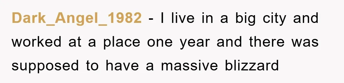 Man Realizes the Penalty for 6 Minutes Late Is the Same as 3 Hours Late, So He Chooses Bacon Dark_Angel_1982 - I live in a big city and worked at a place one year and there was supposed to have a massive blizzard
