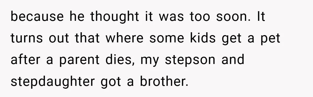 because he thought it was too soon. It turns out that where some kids get a pet after a parent dies, my stepson and stepdaughter got a brother.