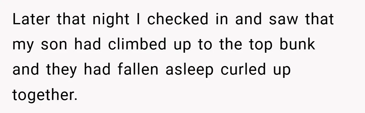 Later that night I checked in and saw that my son had climbed up to the top bunk and they had fallen asleep curled up together.