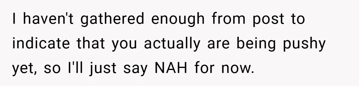 I haven't gathered enough from post to indicate that you actually are being pushy yet, so I'll just say NAH for now.