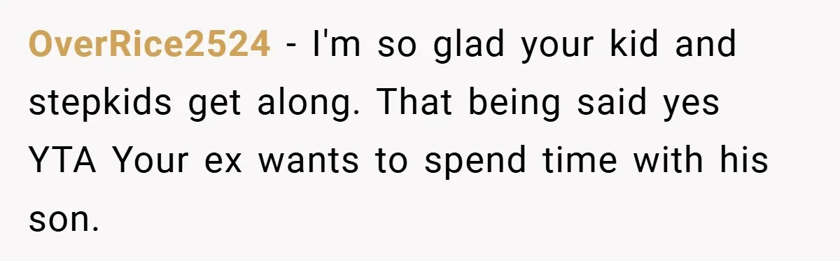 OverRice2524 − I'm so glad your kid and stepkids get along. That being said yes YTA Your ex wants to spend time with his son.