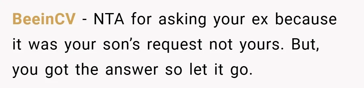 BeeinCV − NTA for asking your ex because it was your son’s request not yours. But, you got the answer so let it go.