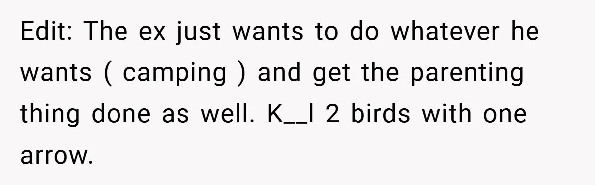 Edit: The ex just wants to do whatever he wants ( camping ) and get the parenting thing done as well. K__l 2 birds with one arrow.