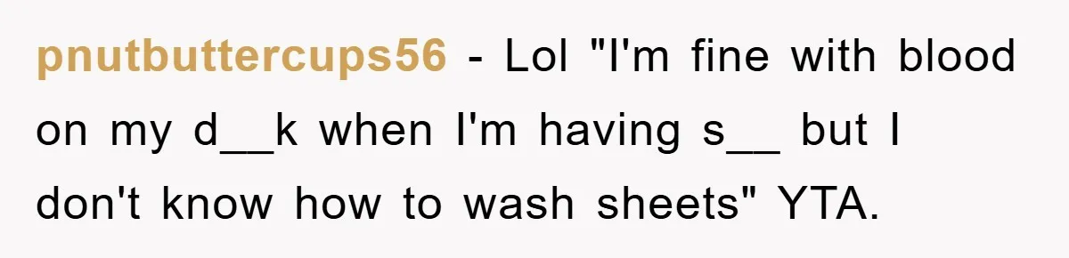 pnutbuttercups56 − Lol "I'm fine with blood on my d__k when I'm having s__ but I don't know how to wash sheets" YTA.