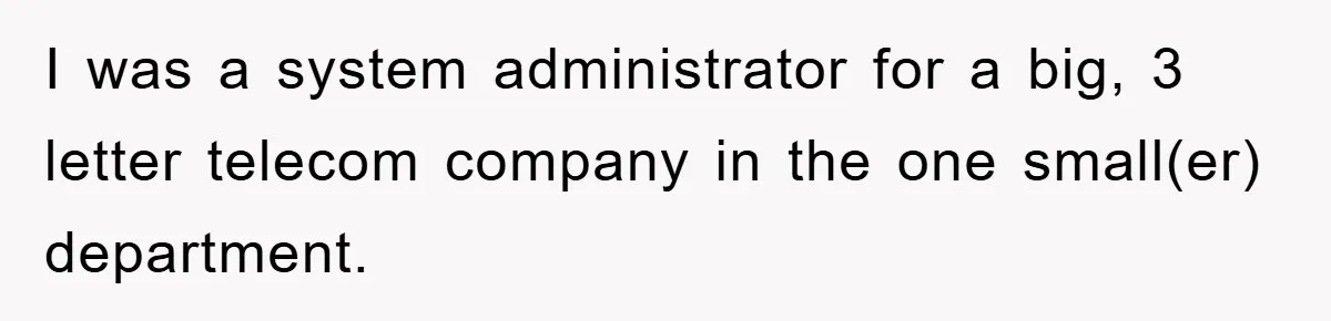 I was a system administrator for a big, 3 letter telecom company in the one small(er) department.