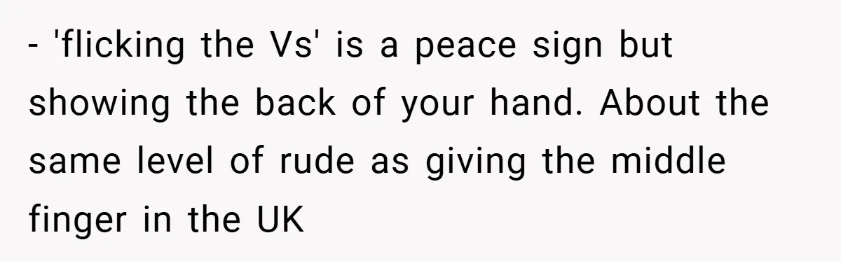 - 'flicking the Vs' is a peace sign but showing the back of your hand. About the same level of rude as giving the middle finger in the UK