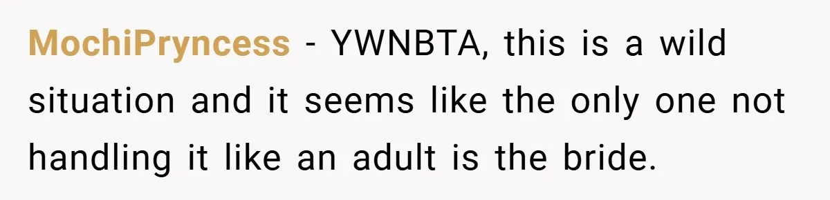 MochiPryncess − YWNBTA, this is a wild situation and it seems like the only one not handling it like an adult is the bride.