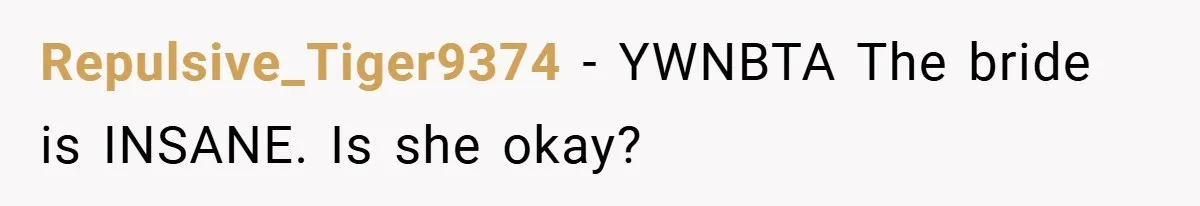 Repulsive_Tiger9374 − YWNBTA The bride is INSANE. Is she okay?