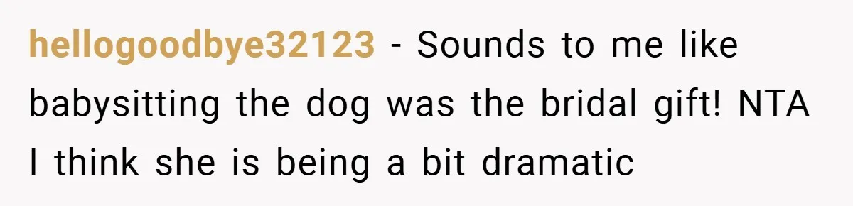hellogoodbye32123 − Sounds to me like babysitting the dog was the bridal gift! NTA I think she is being a bit dramatic