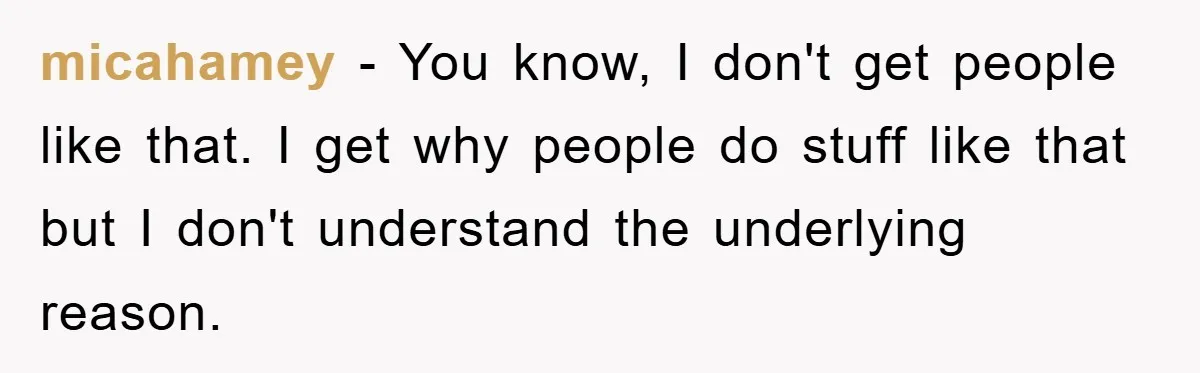 micahamey − You know, I don't get people like that. I get why people do stuff like that but I don't understand the underlying reason.