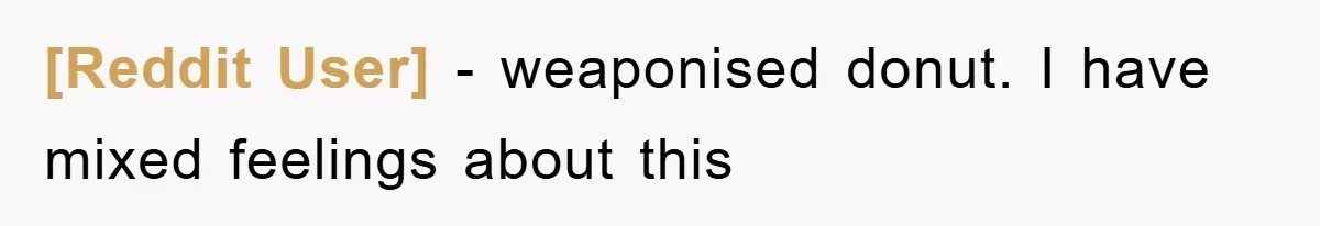 [Reddit User] − weaponised donut. I have mixed feelings about this