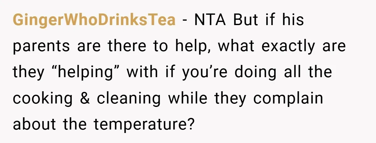 GingerWhoDrinksTea − NTA But if his parents are there to help, what exactly are they “helping” with if you’re doing all the cooking & cleaning while they complain about the...