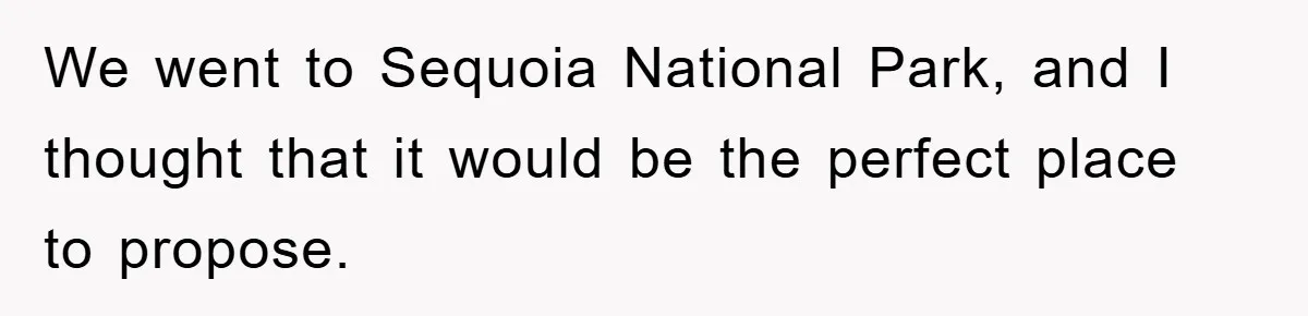 We went to Sequoia National Park, and I thought that it would be the perfect place to propose.