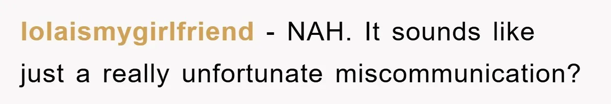 lolaismygirlfriend − NAH. It sounds like just a really unfortunate miscommunication?