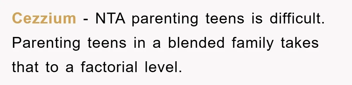 Cezzium − NTA parenting teens is difficult. Parenting teens in a blended family takes that to a factorial level.