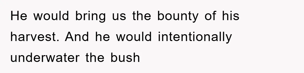 He would bring us the bounty of his harvest. And he would intentionally underwater the bush