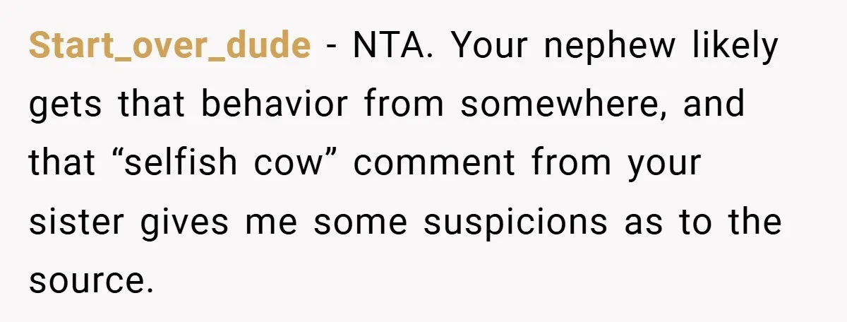 Start_over_dude − NTA. Your nephew likely gets that behavior from somewhere, and that “selfish cow” comment from your sister gives me some suspicions as to the source.