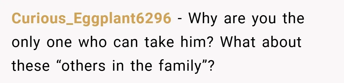 Curious_Eggplant6296 − Why are you the only one who can take him? What about these “others in the family”?