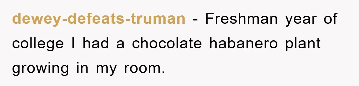 dewey-defeats-truman − Freshman year of college I had a chocolate habanero plant growing in my room.