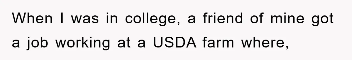 When I was in college, a friend of mine got a job working at a USDA farm where,