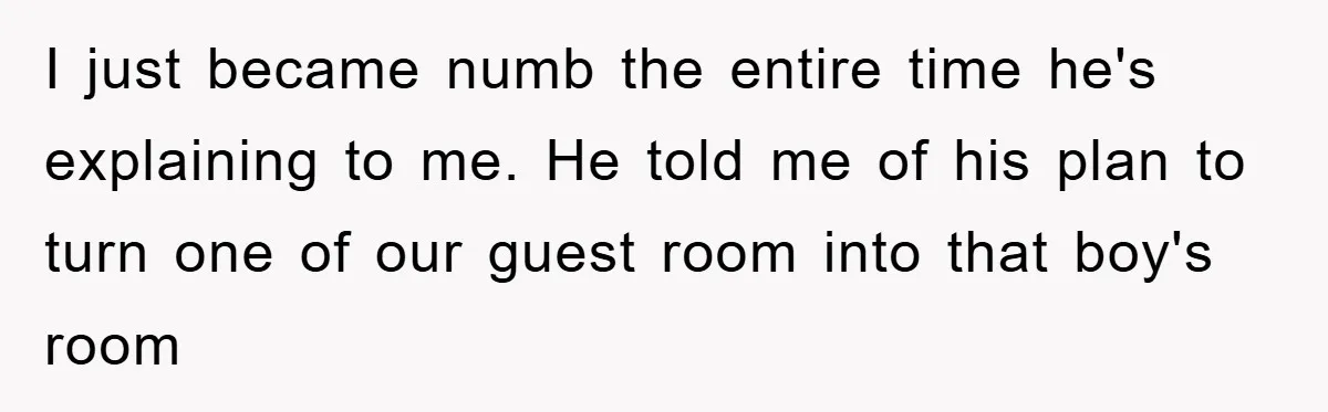 I just became numb the entire time he's explaining to me. He told me of his plan to turn one of our guest room into that boy's room