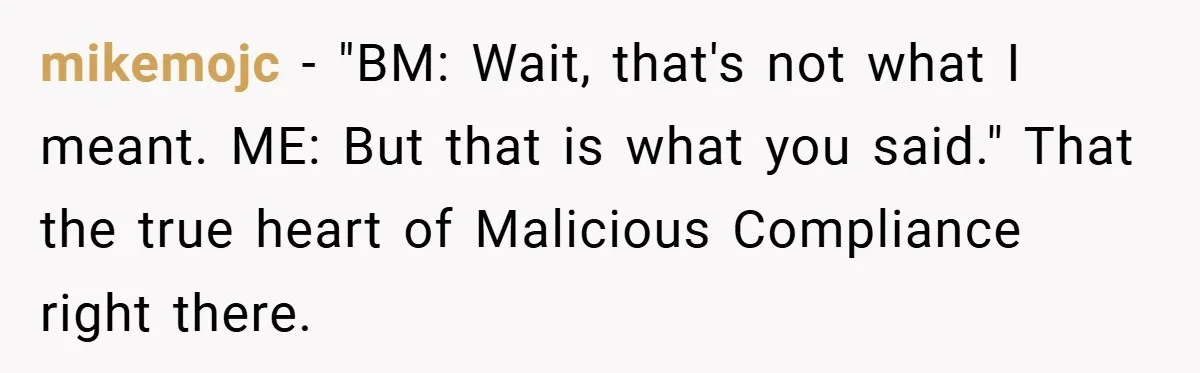 mikemojc − "BM: Wait, that's not what I meant. ME: But that is what you said." That the true heart of Malicious Compliance right there.