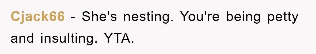 Cjack66 − She's nesting. You're being petty and insulting. YTA.