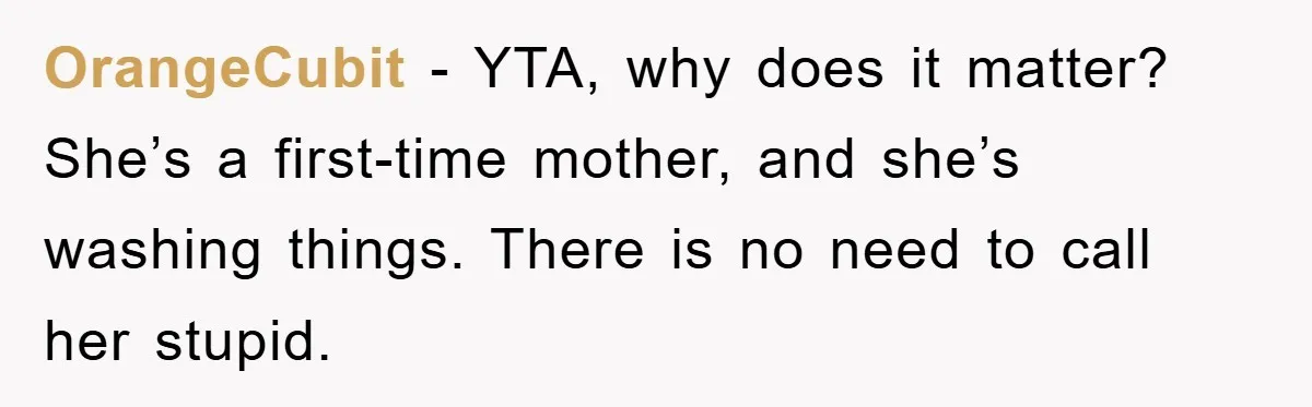 OrangeCubit − YTA, why does it matter? She’s a first-time mother, and she’s washing things. There is no need to call her stupid.
