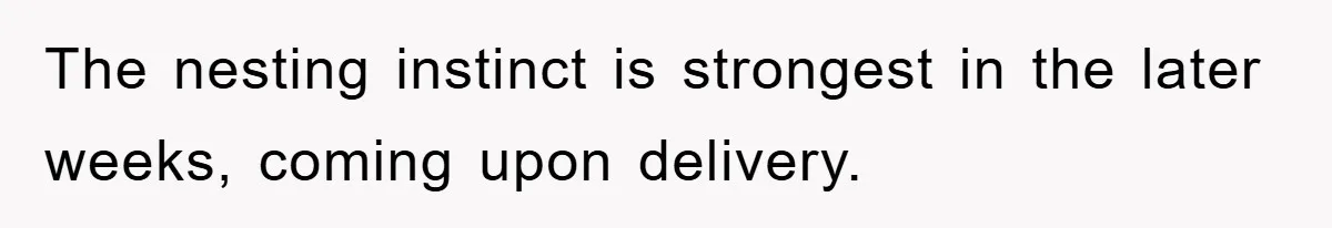 The nesting instinct is strongest in the later weeks, coming upon delivery.