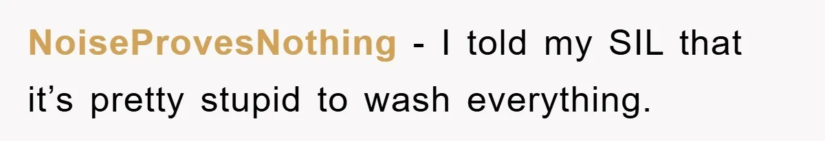 NoiseProvesNothing − I told my SIL that it’s pretty stupid to wash everything.