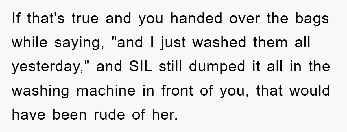 If that's true and you handed over the bags while saying, "and I just washed them all yesterday," and SIL still dumped it all in the washing machine in front...