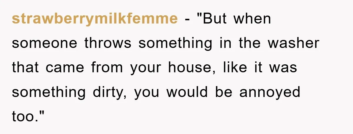 strawberrymilkfemme − "But when someone throws something in the washer that came from your house, like it was something dirty, you would be annoyed too."