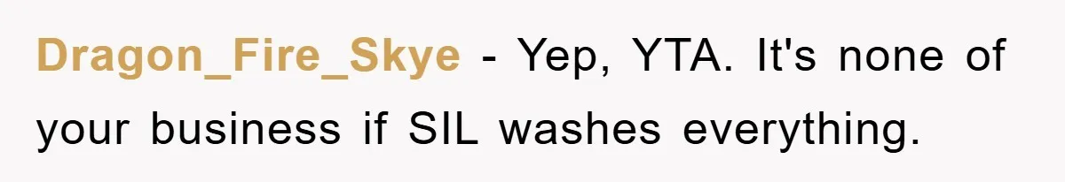 Dragon_Fire_Skye − Yep, YTA. It's none of your business if SIL washes everything.