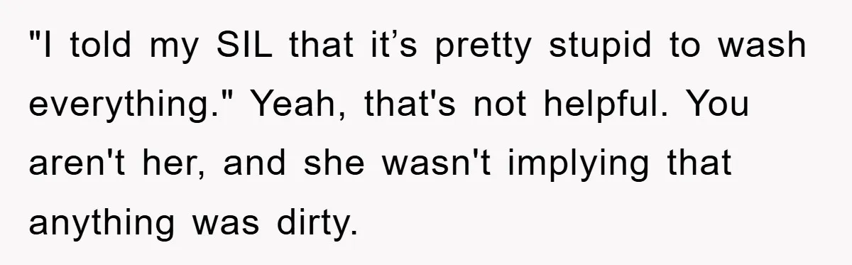 "I told my SIL that it’s pretty stupid to wash everything." Yeah, that's not helpful. You aren't her, and she wasn't implying that anything was dirty.