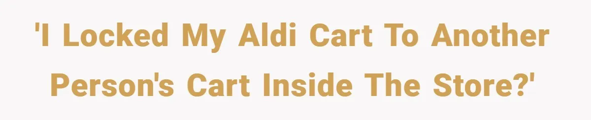 'I locked my Aldi cart to another person's cart inside the store?'