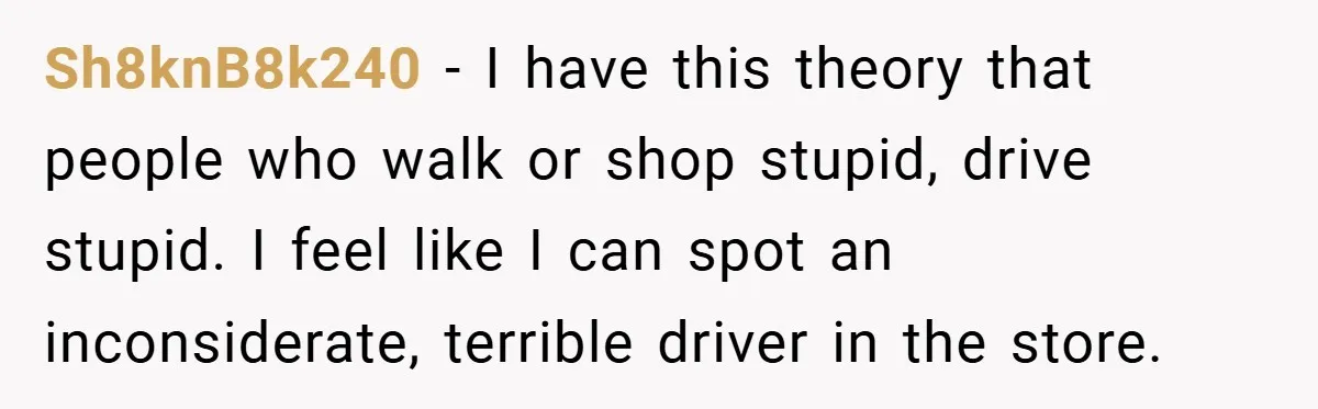 Sh8knB8k240 − I have this theory that people who walk or shop stupid, drive stupid. I feel like I can spot an inconsiderate, terrible driver in the store.