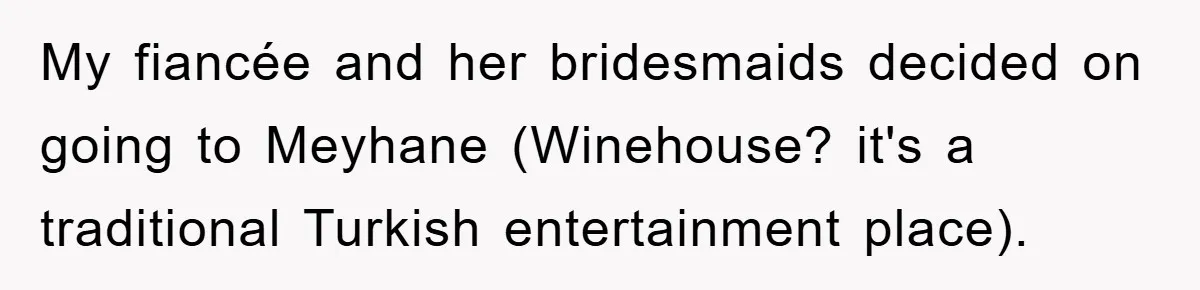 My fiancée and her bridesmaids decided on going to Meyhane (Winehouse? it's a traditional Turkish entertainment place).