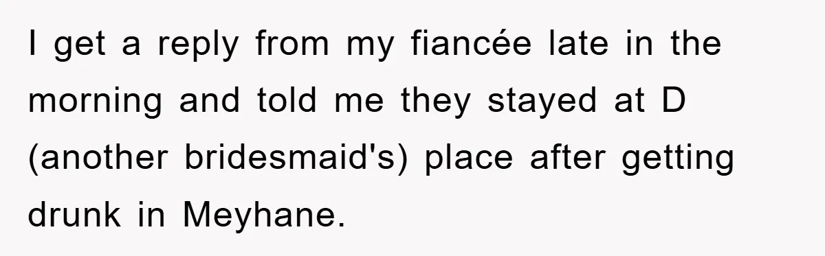 I get a reply from my fiancée late in the morning and told me they stayed at D (another bridesmaid's) place after getting drunk in Meyhane.