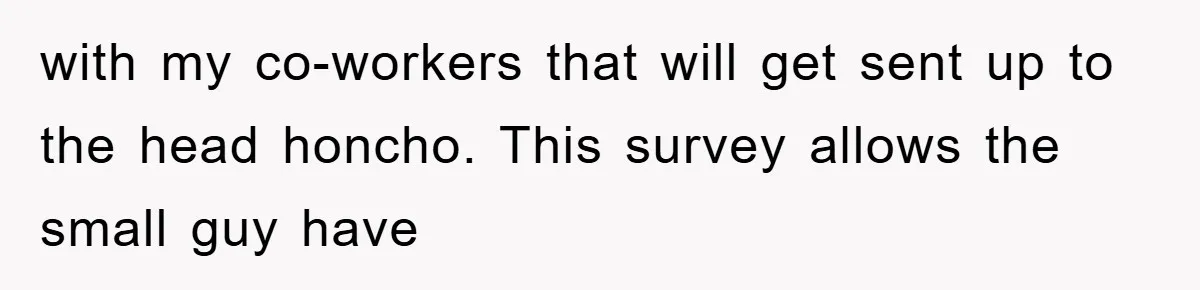 with my co-workers that will get sent up to the head honcho. This survey allows the small guy have