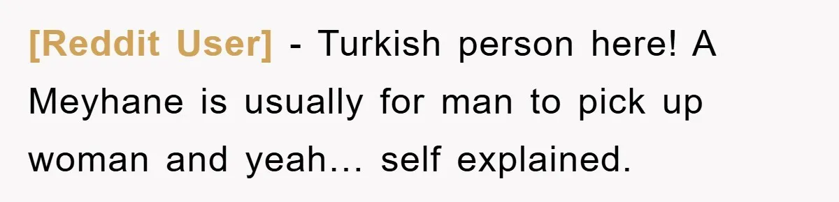 [Reddit User] − Turkish person here! A Meyhane is usually for man to pick up woman and yeah… self explained.