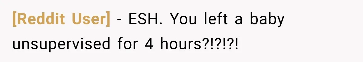 [Reddit User] − ESH. You left a baby unsupervised for 4 hours?!?!?!