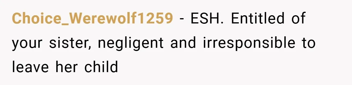Choice_Werewolf1259 − ESH. Entitled of your sister, negligent and irresponsible to leave her child