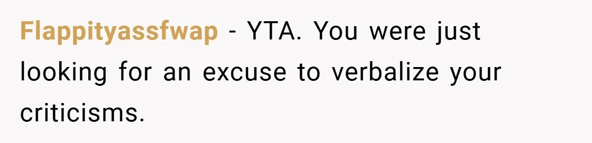 Flappityassfwap − YTA. You were just looking for an excuse to verbalize your criticisms.