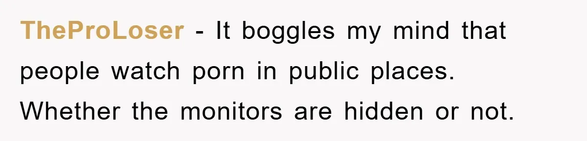 TheProLoser − It boggles my mind that people watch porn in public places. Whether the monitors are hidden or not.