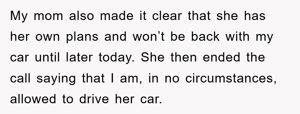 My mom also made it clear that she has her own plans and won’t be back with my car until later today. She then ended the call saying that I...