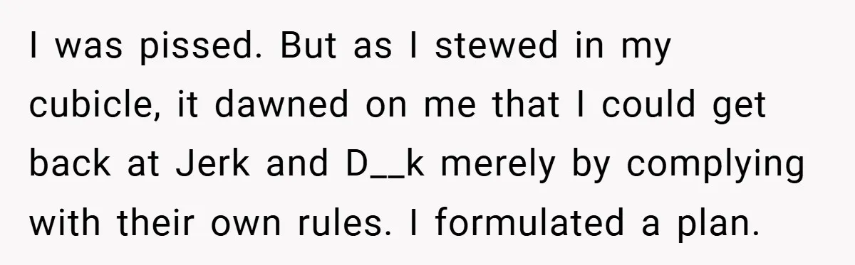I was pissed. But as I stewed in my cubicle, it dawned on me that I could get back at Jerk and D__k merely by complying with their own rules....