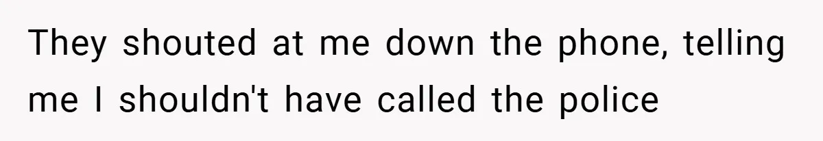 They shouted at me down the phone, telling me I shouldn't have called the police