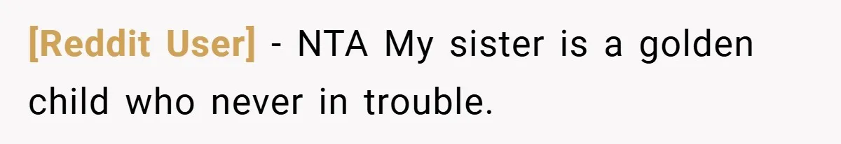 [Reddit User] − NTA My sister is a golden child who never in trouble.